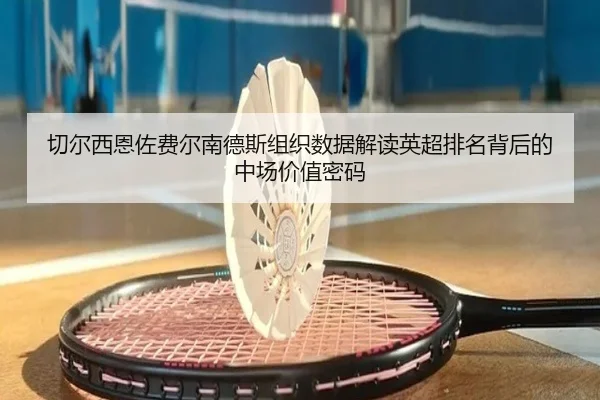切尔西恩佐费尔南德斯组织数据解读英超排名背后的中场价值密码